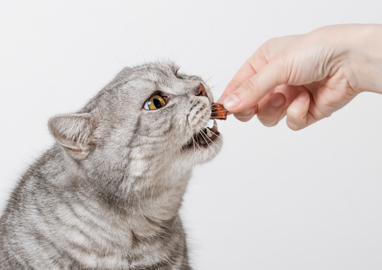 Crunchy Cat Snacks